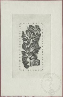 Ekslibris Ottmara Premstallera VI