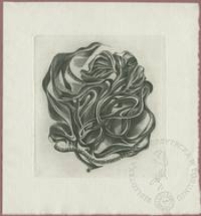 Ekslibris Elżbiety Chodkiewicz-Przypkowskiej II