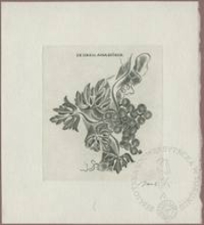 Ekslibris Aina Biörck I