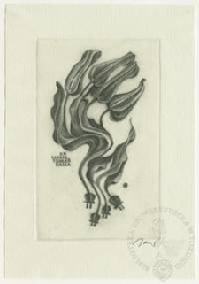 Ekslibris Tomas Halla