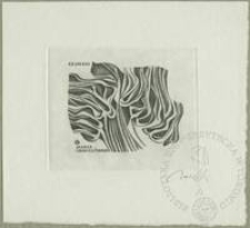 Ekslibris Marii Chmielówny