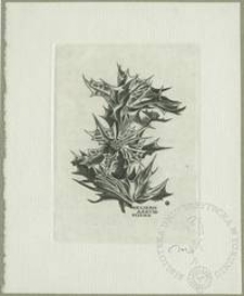 Ekslibris Aart M. Eliens