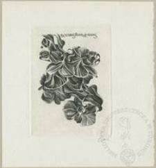 Ekslibris Riet de Haas