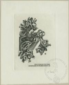 Ex collectione Andrzeja Ryszkiewicza