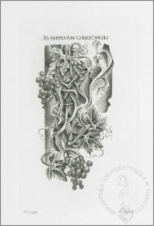 E. l. Wiesława Gierłowskiego