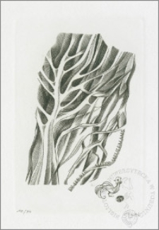 Ekslibris Miets Meulemans VI