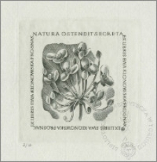 Ekslibris Ewy Klonowskiej-Prosnak