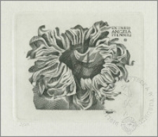 Ekslibris Angeli Pfennig