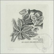 Ekslibris Dra Emila Kunze V