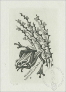 Ekslibris Wout Meulemans IV