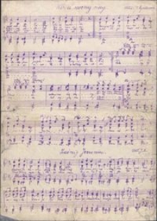 Wśród nocnej ciszy