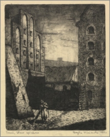 Toruń - stare spichrze