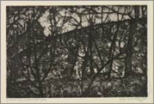 Grudziądz - mury miejskie nad Trynką