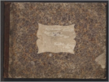 Zbiór ulubionych polonezów : ułożonych na piano forte. Posz. no 1